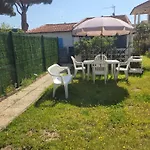 Sunny Cottage